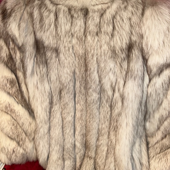 Run the Town - Picture 6 of 6